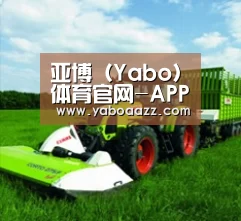 关于亚博